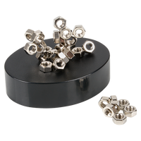 Magnetic Sculpture Assortment | 3.5-Inch Desk Toy