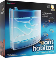 Light-Up Ant Habitat